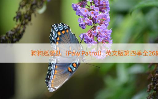 狗狗巡逻队（Paw Patrol）英文版第四季全26集下载mkv1080p百度云盘