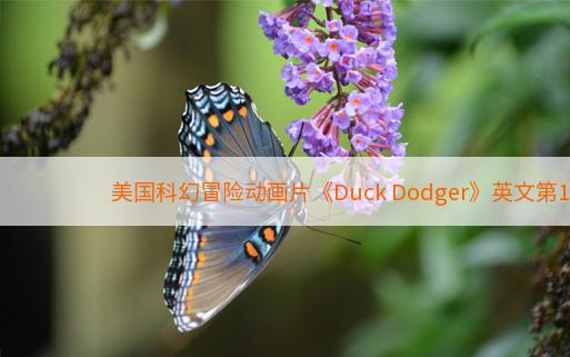 美国科幻冒险动画片《Duck Dodger》英文第1季全23集百度网盘下载