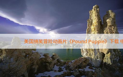 美国搞笑冒险动画片《Pound Puppie》下载 中文版39集 英文版39集 百度网盘