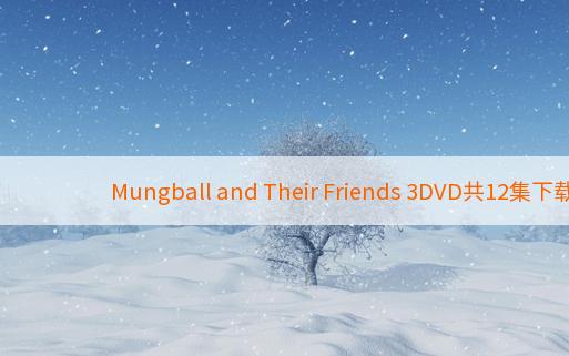 Mungball and Their Friends 3DVD共12集下载 韩国最好看的动画教育作品 英文发音 百度云网盘