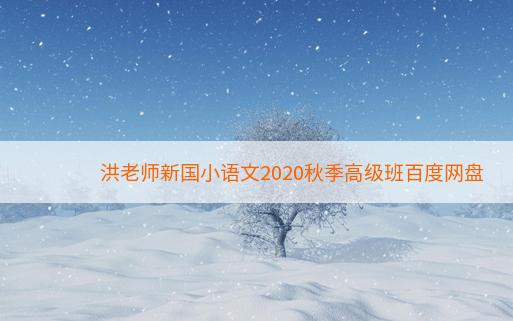 洪老师新国小语文2020秋季高级班百度网盘