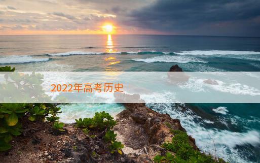 2022年高考历史