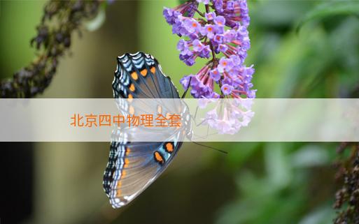 北京四中物理全套