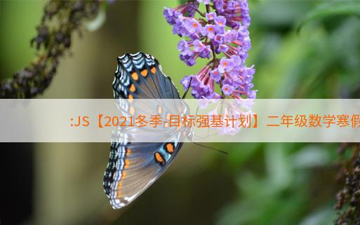 【2021冬季-目标强基计划】二年级数学寒假直播课6刘雯