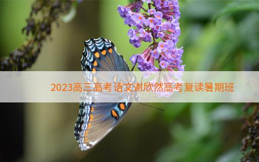 2023高三高考语文谢欣然高考复读暑期班