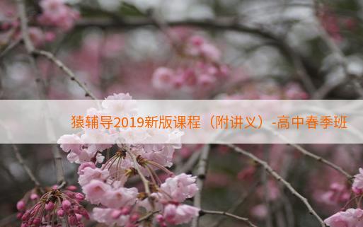 猿辅导2019新版课程（附讲义）-高中春季班